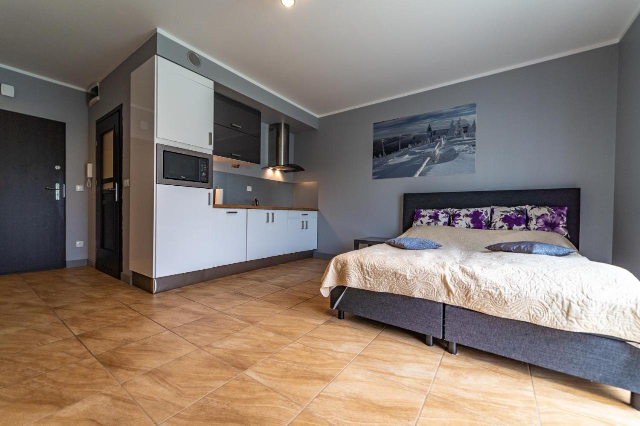 Apartament Zielony Zakatek Swieradow-Zdroj Bagian luar foto