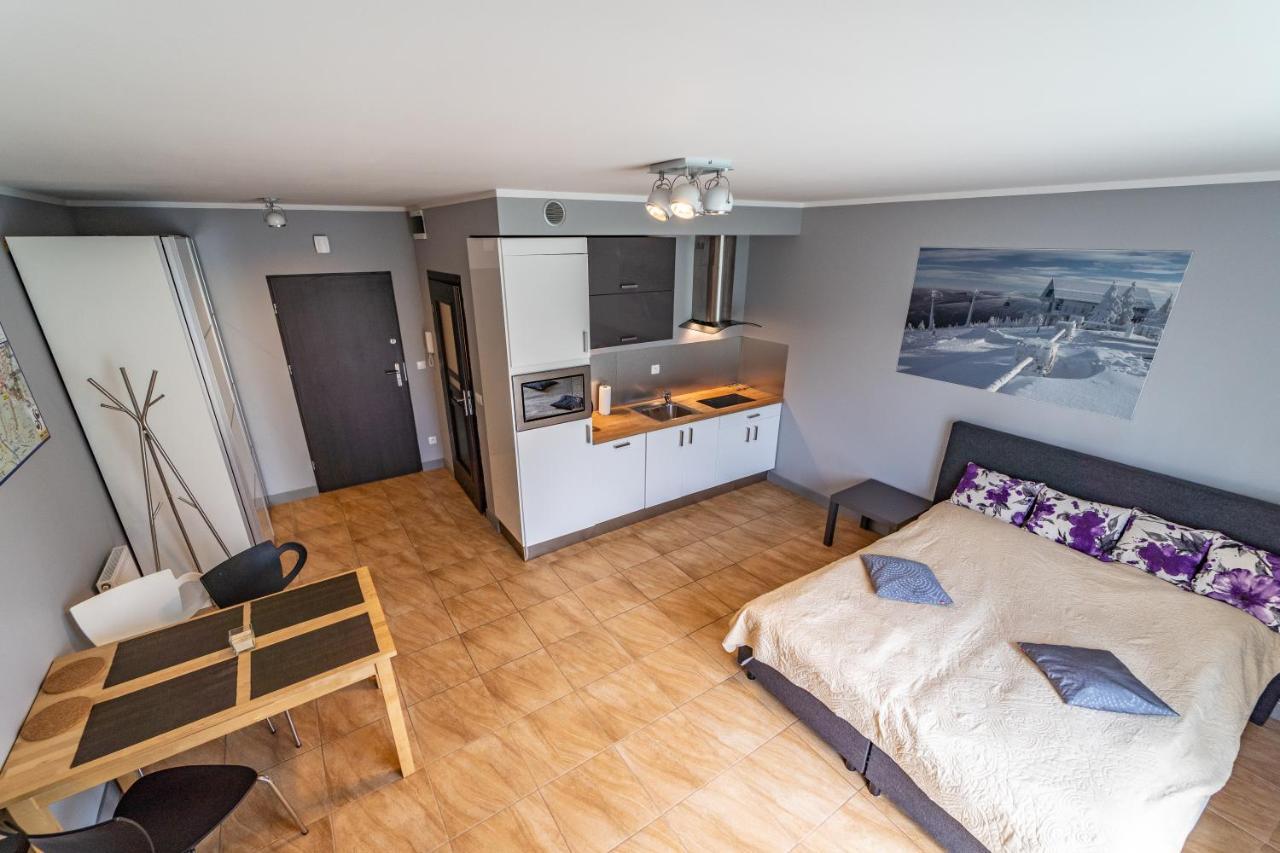 Apartament Zielony Zakatek Swieradow-Zdroj Bagian luar foto