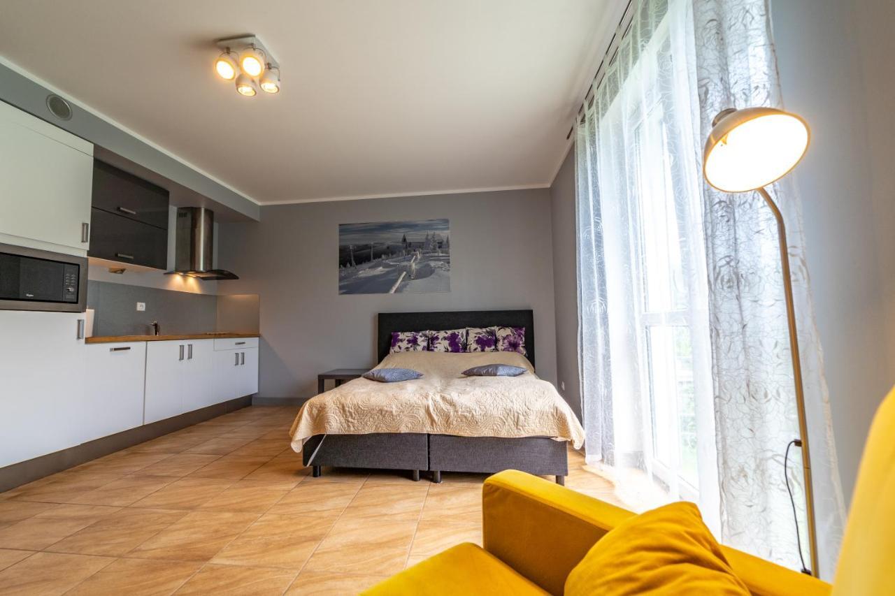 Apartament Zielony Zakatek Swieradow-Zdroj Bagian luar foto